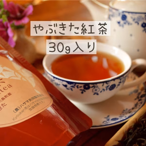 Kyoukan Blackteaやぶきた紅茶　30ｇ入り