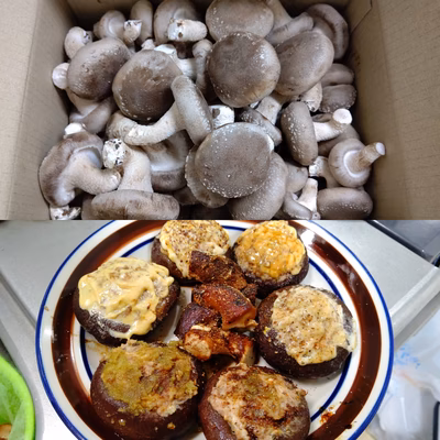 みんなの投稿の画像