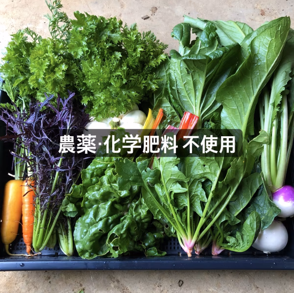 新たに出品ページを作成しておりますので、ご注文はそちらからお願いします！