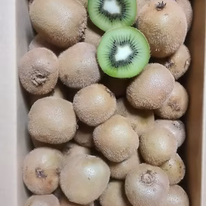 和歌山県産　ヘイワード（小玉）