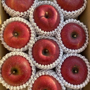 シャキシャキッ！【贈答用】完熟サンふじ 3kg箱～ 信州りんご 