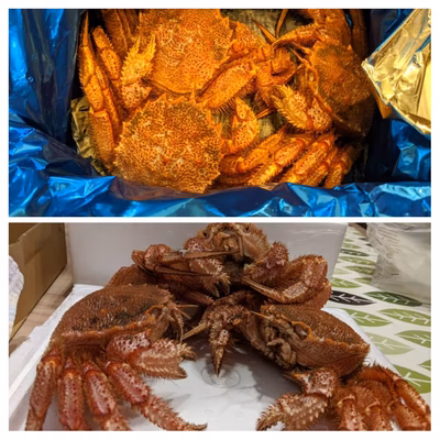 みんなの投稿の画像