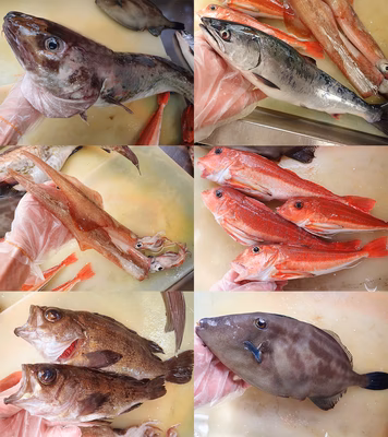 みんなの投稿の画像