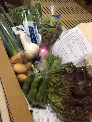 みんなの投稿の画像