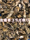 プリプリで新鮮なカキをたくさん食べたい人必見！殻付き牡蠣Sサイズ