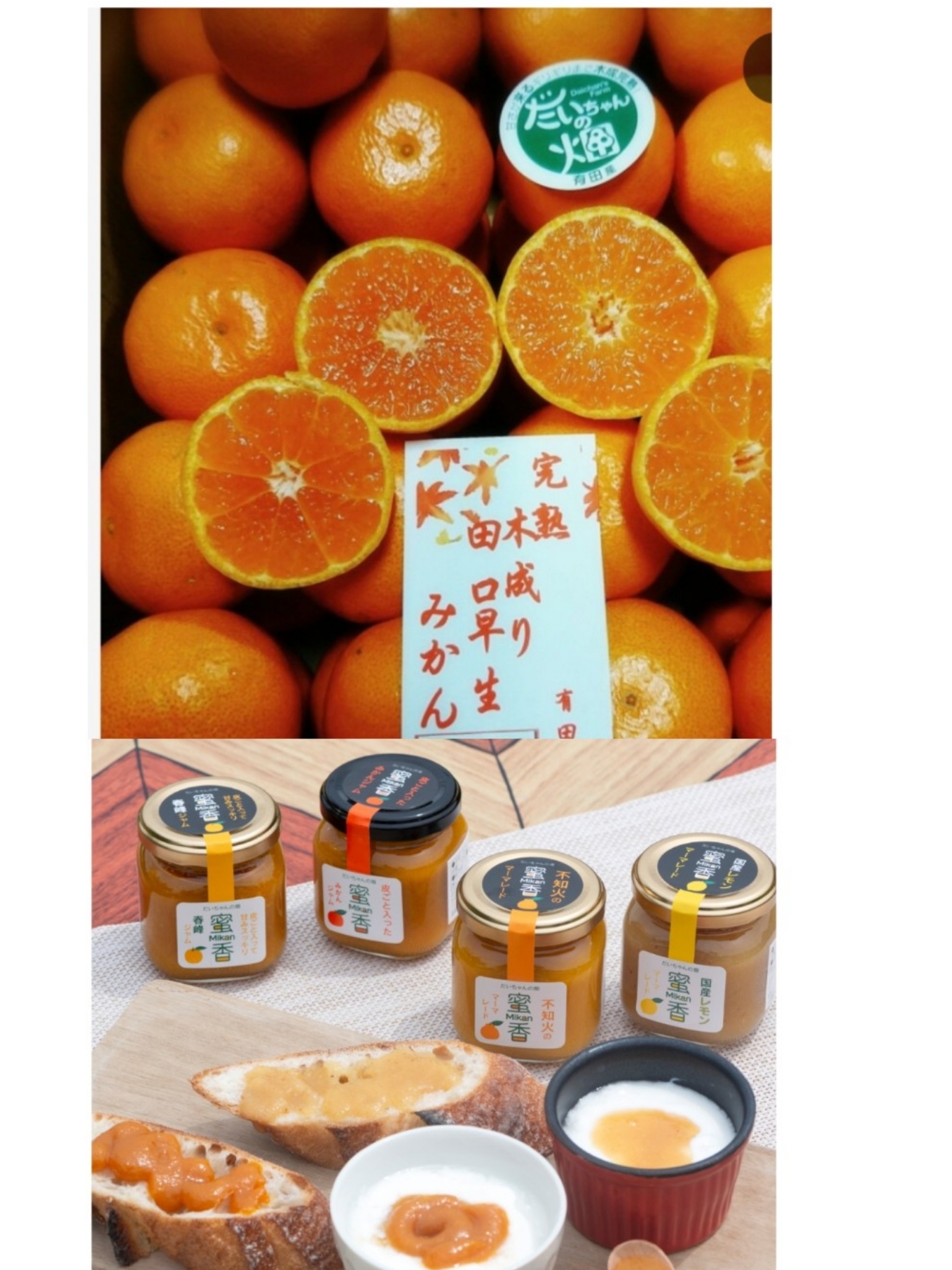 田口早生の産直通販・お取り寄せ商品｜ポケットマルシェ｜産地