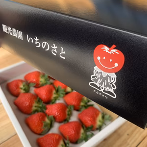 【厳選】佐賀のブランドいちご『いちごさん』化粧箱