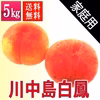 川中島白鳳 5kg 家庭用