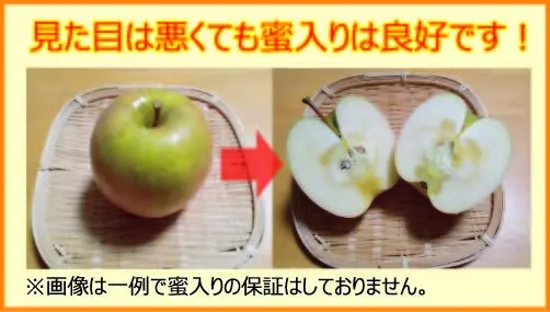 【家庭用】ほぼ葉取らず　サンふじ　約5kg（バラ箱詰め）　山形県大江町産