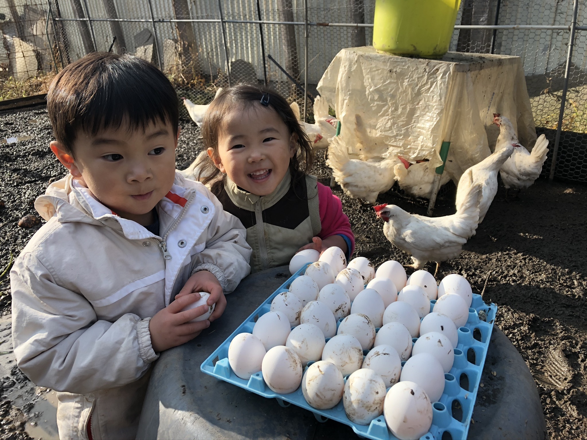 長野県飯山市｜やよい農園｜滝沢篤史さんの生産者プロフィール｜ポケットマルシェ｜産地直送で旬の食材が生産者(農家・漁師)から届く