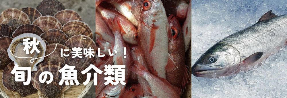 秋の旬 魚介類