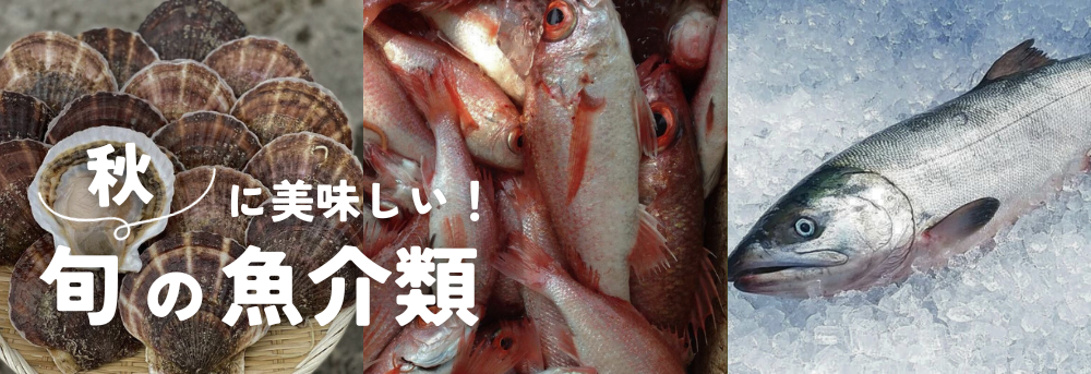 秋に美味しい旬の魚介類 予約・購入も | 農家漁師から産地直送の通販 ポケットマルシェ