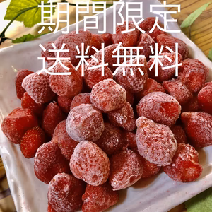 《期間限定❗️送料無料》びんごファームの冷凍いちご１kg〜