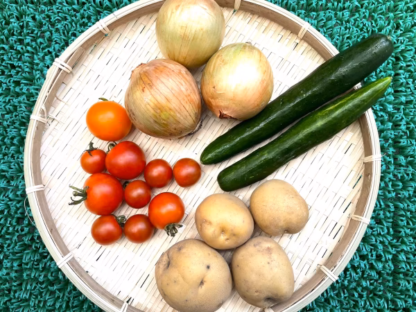 闘病中の方、健康志向の方向け、自然栽培ミニ野菜セット
