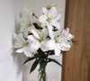 ✨ご贈答・供花✨人気の純白✨豪華で大輪のオリエンタルユリ✨