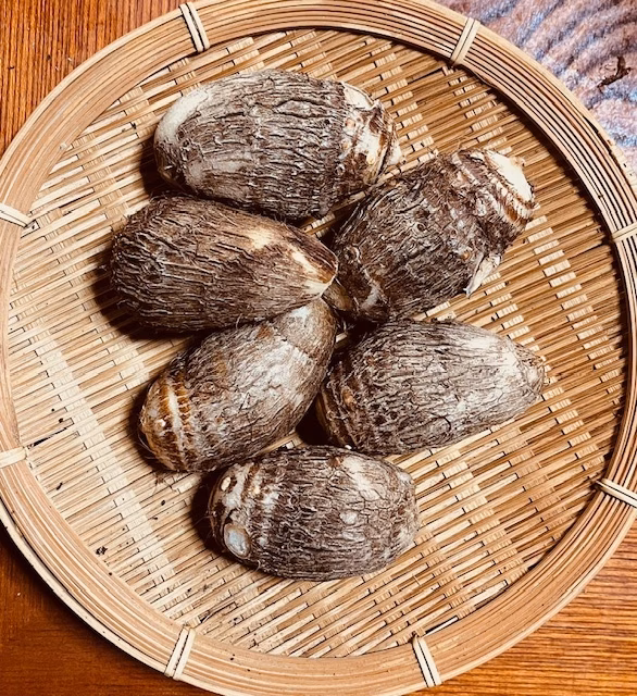 【安曇野産】さといも