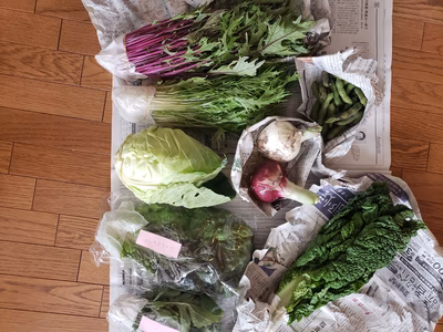 みんなの投稿の画像