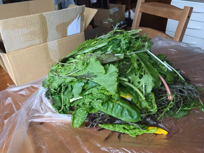 みんなの投稿の画像