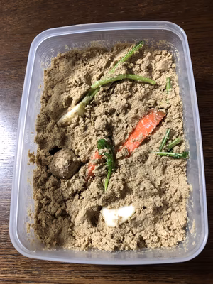 みんなの投稿の画像