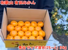 【秀品・サイズMIX】和歌山有田産！早生みかん≪5㎏≫11月下旬より出荷開始