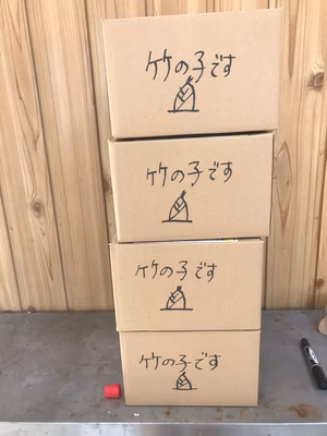 みんなの投稿の画像