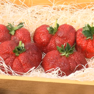 【わずか1%最高傑作】見つけたらラッキー幸運末広がりの縁起物『幻の千年扇いちご』