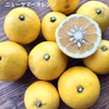 ゴールデンサマー！黄金柑とニューサマーのセット【農薬不使用】