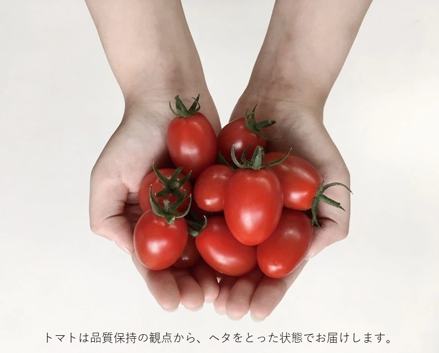 おいしくて止まらない！しあわせのトマトと野菜の詰め合わせ