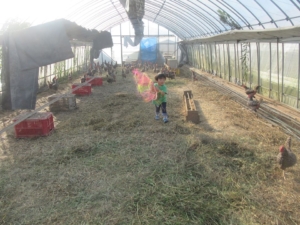 14495407_1079762782131501_9160119513429745928_n