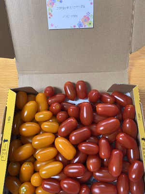 みんなの投稿の画像