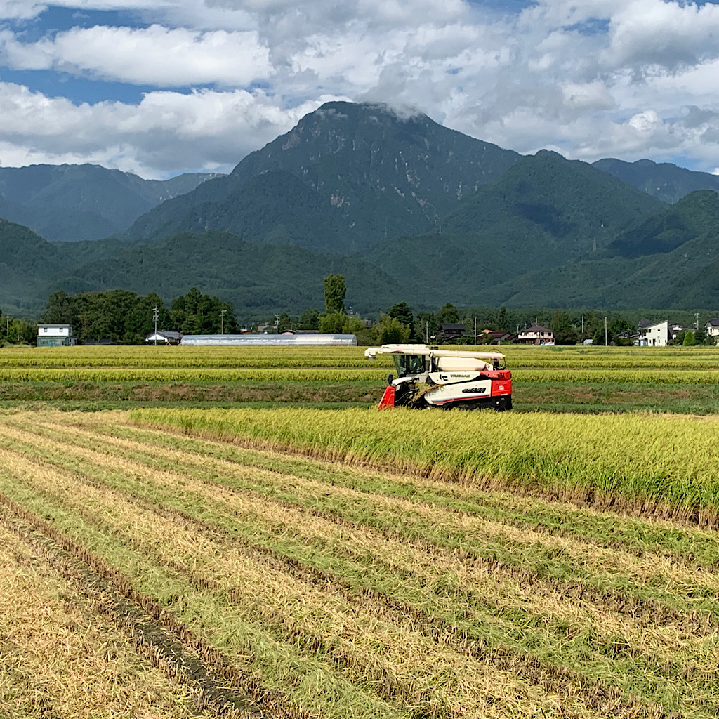 令和7年産【コシヒカリ玄米9.4k,18.8k】安曇野産一等米｜玄米の商品