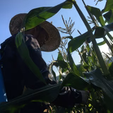 山崎勝浩 | 山崎農園