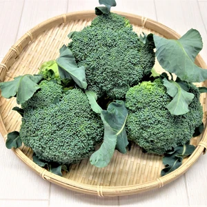 【おすすめ商品】ブロッコリー　4本セット　農薬不使用（無農薬）栽培