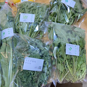 aaa様専用野菜セット