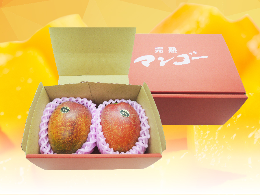 No. は❣️桃 ❣️セール中 2kg箱 中玉小玉ご家庭用❣️ 通販 145.お買い得福島産 朝採り完熟桃 6〜7玉入り家庭用 箱込み1.6Kg~