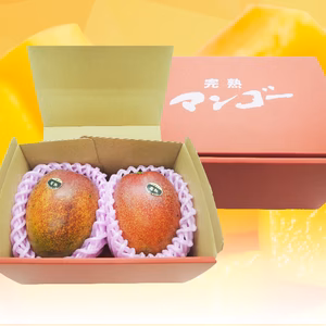 【家庭用2玉】樹齢25年以上の木からなる糖度約17～18度の完熟マンゴー