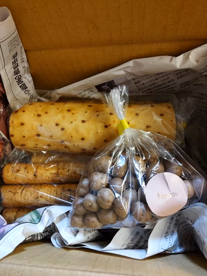 みんなの投稿の画像