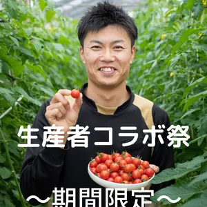 【生産者コラボ祭】20％off　旨味濃厚・大きめミニトマト