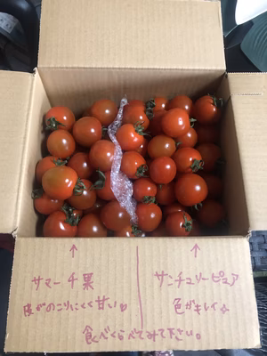 みんなの投稿の画像