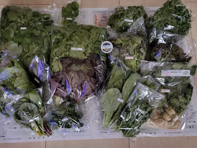 みんなの投稿の画像