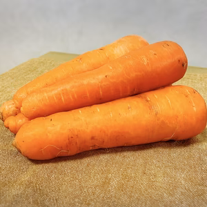 宮崎県綾町産 甘い！冬人参【農薬 化学肥料不使用】