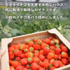 ジャム加工におすすめ！宮城県産 イチゴ(小粒) 