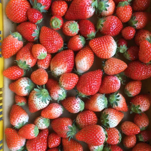  気にならない方限定いちご大中2キロ入り2箱            