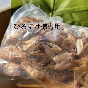 ひろすけ様専用