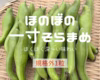 【規格外】１粒お豆さん 大集合❗ ３㎏ 朝穫れ❗「そら豆（さや付き）」