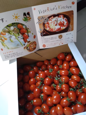 みんなの投稿の画像