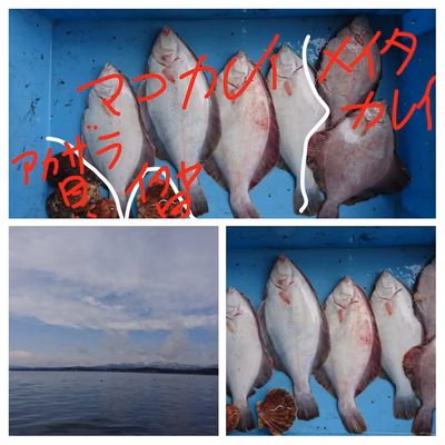 みんなの投稿の画像