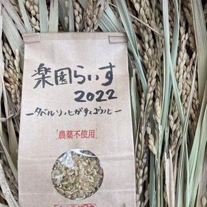 山奥のカレー屋が本気でつくったお米　楽園らいす2022(玄米)ヒノヒカリ