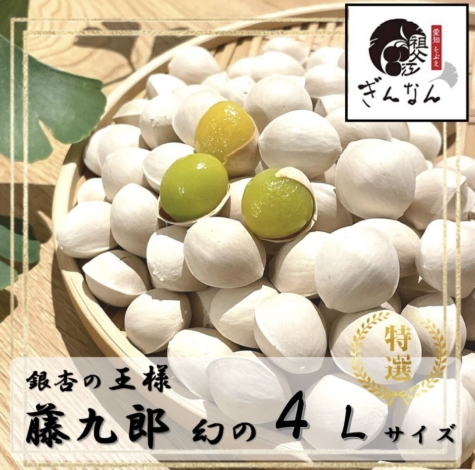 2022年新物 生産者直送 藤九郎 ぎんなん 祖父江産 銀杏 3L 4kg