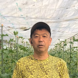 小泉克英 | 諏訪湖のキュウリ